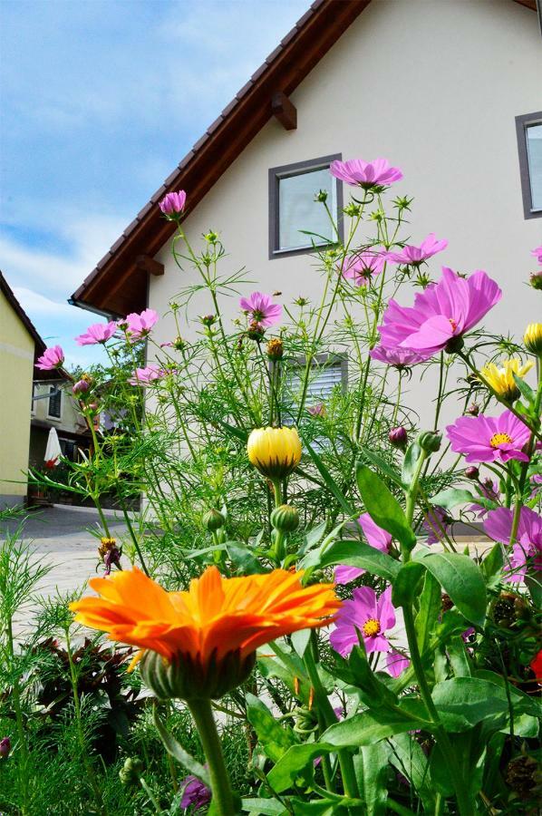 Haus Rosy Ferienwohnung Stubenberg Eksteriør bilde